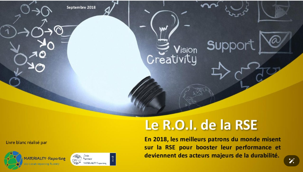 Couverture de Le R.O.I. de la RSE